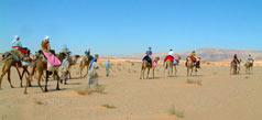 Sinai